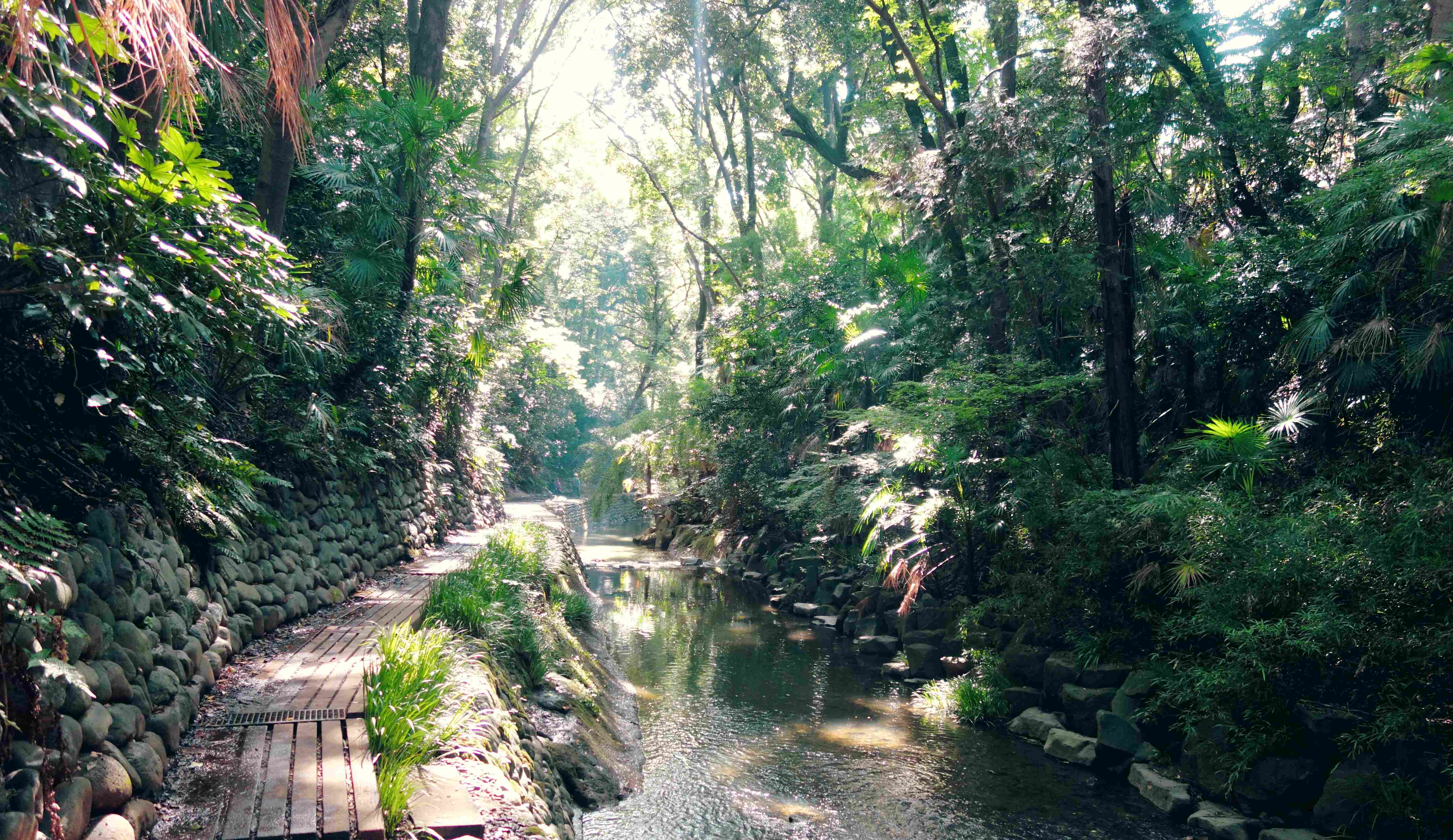 🏞️ 토도로키 계곡
